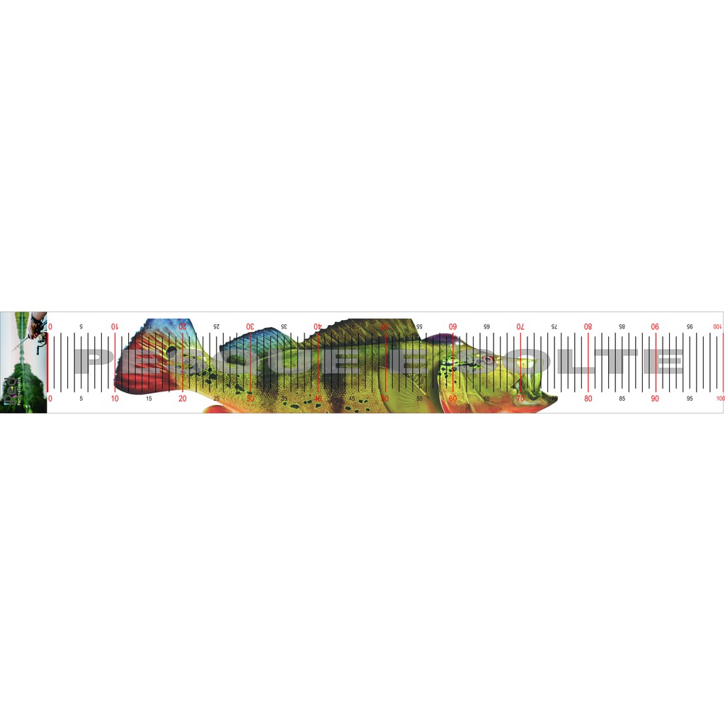 Adesivo, Régua Para Medir Peixe ,Pesca, Pesca esportiva, Tucunaré, Tilápia, trena, fita métrica