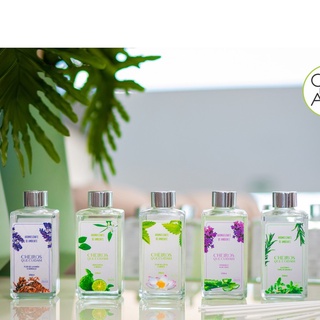 Difusor Aromatizador de Ambiente Luxo Vidro 250ml