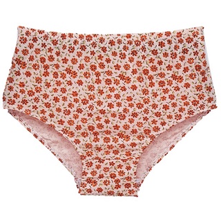 Kit Com 6 Calcinhas Modelo Calçola Senhora 100% Algodão Com Estampas Sortidas