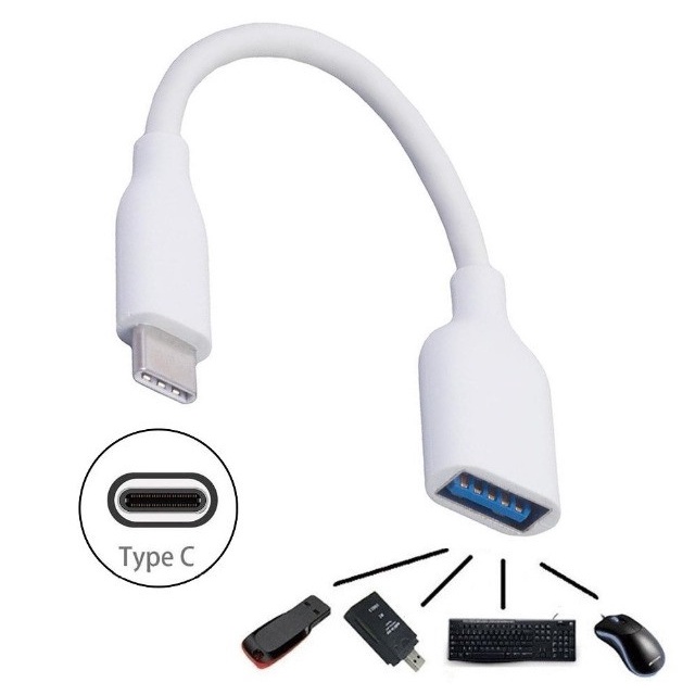 Cabo Adaptador Otg Fêmea x Tipo C Type C Pendrive Usb 3.0 Celular