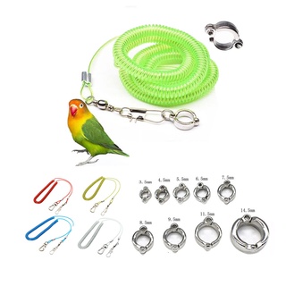 Aves Flying Rope Com Anel De Treinamento set 3/5/10 M Papagaio pigeon Voando Corda Pet Kits Leash Formação (1 Pc)