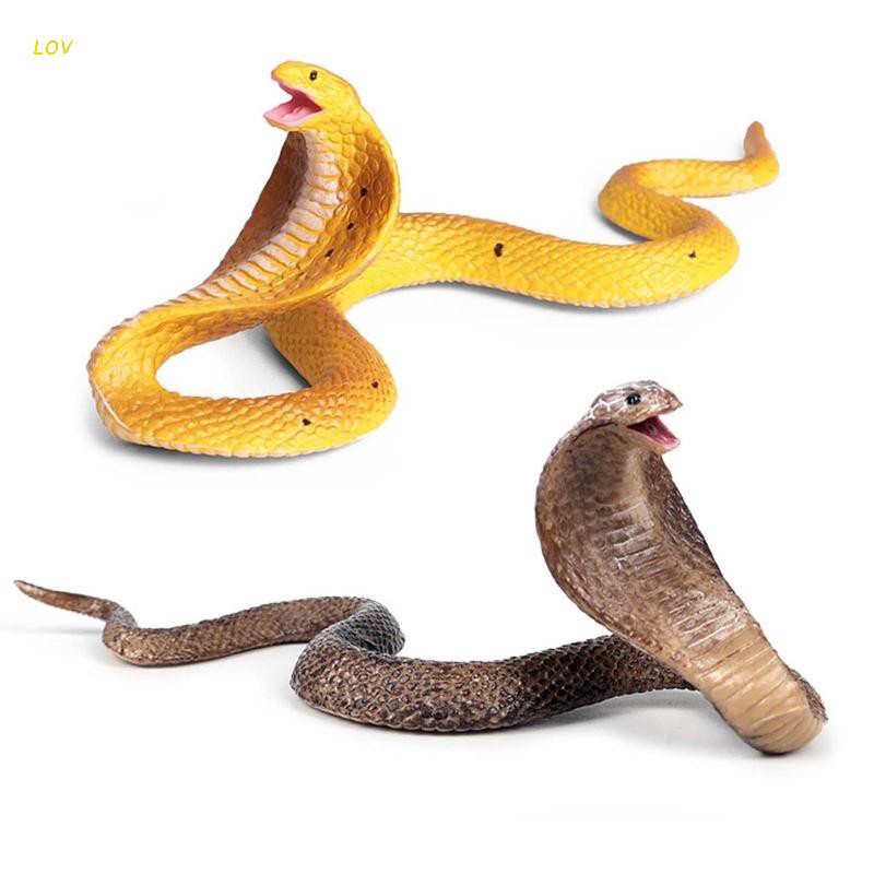 Brinquedo complicado de cobra faminta – My Premium-Gift