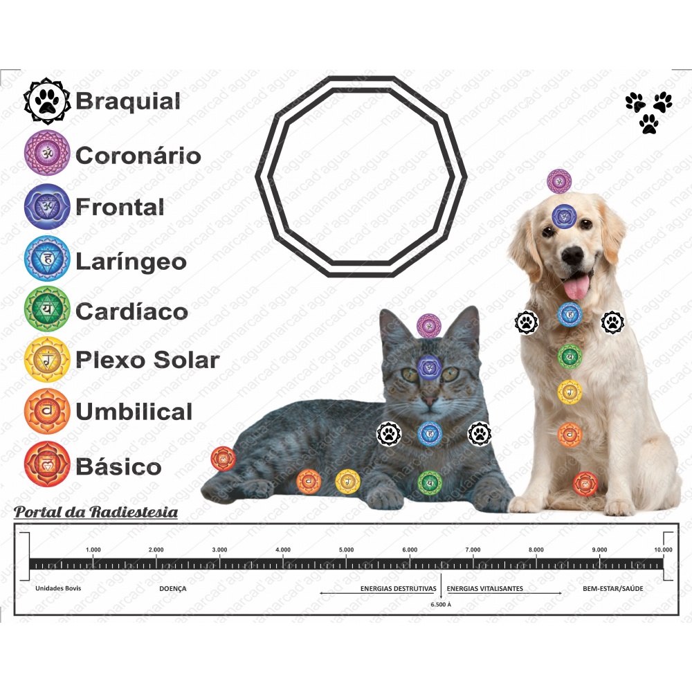 Pets - Diagnóstico dos chakras animais em pvc e chakra braquial ...