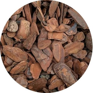 Casca De Pinus Polida 40L Para Decoração Vasos E Plantas 7kg