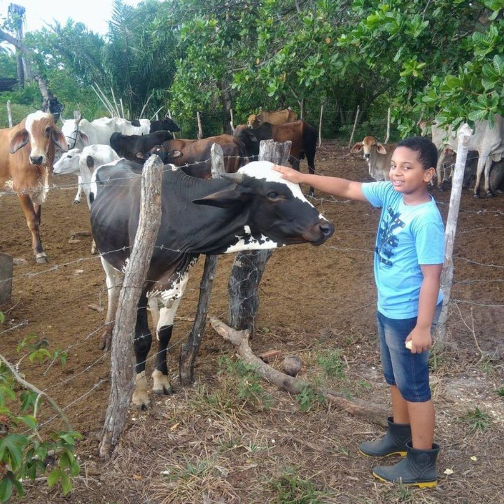 Gatilho pequeno O pá ( Ótimo para jogar free fire)