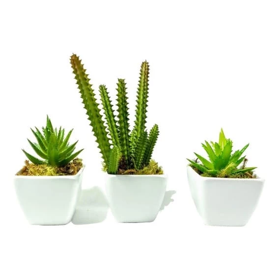 Kit 3 vasos Vasinhos para suculenta quadrado lembrancinhas