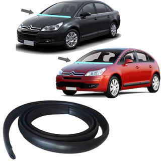 Borracha Acabamento Churrasqueira Citroen C4 Pallas Hatch Lounge VTR