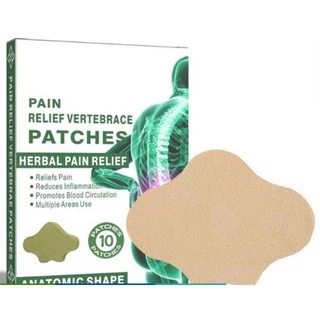 Kit 10 Adesivos Terapéuticos Para Alivio De Dor No espinha lombar em Oferta na Shopee
