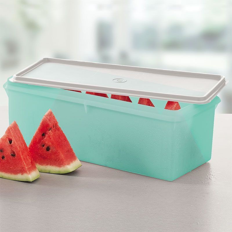 Tupperware Mega Caixa Jumbo 6 Lts | Shopee Brasil