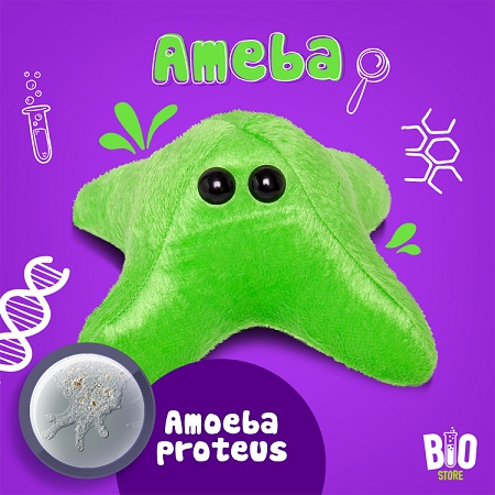 Amoeba plush best sale