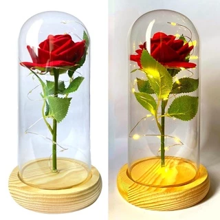 Luminária Cúpula A Bela E A Fera / O Pequeno Príncipe Com A Rosa Encantada Rosas Coloridas com LED