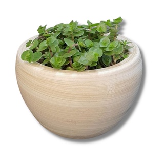 Vaso Cachepô de Cerâmica para Plantas e Flores 13 x 17cm Cor Palha