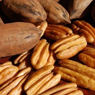 Nozes pecan castanhas sem cascas e com casca envio em menos de 24 horas