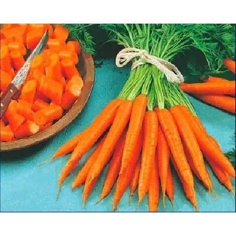 10-sementes-de-cenoura-baby-shopee-brasil