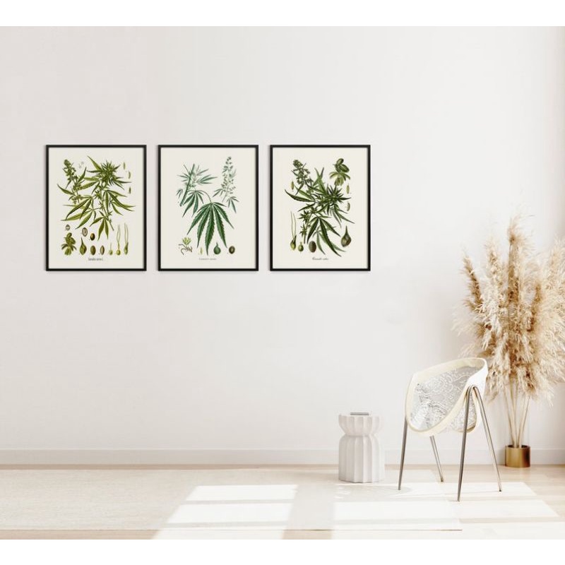 quadro decorativo maconha kit 3 peças