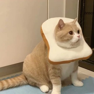 Cachorro Gatos De Estimação Desenho Animado Torradas Macias Em Forma De Coleira Lenço De Pescoço Adereços Para A Cabeça