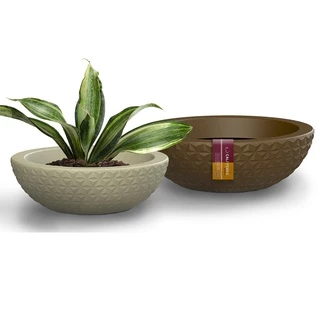 Vaso Decorativo de Planta Bacia Diamante