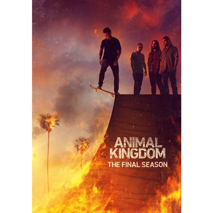 Dvd - Animal Kingdom as 6 Temporada Dublado e Legendado | Shopee