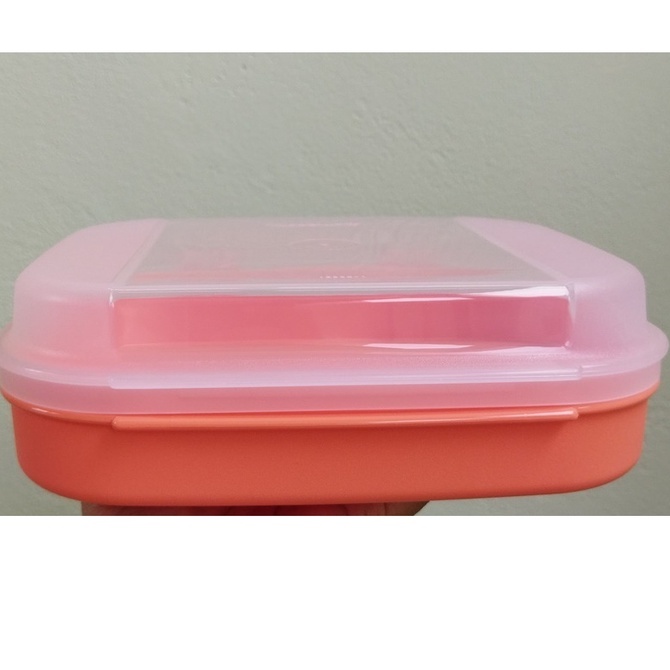 Tupperware Modular Clássic Visual Box 500ml | Shopee Brasil