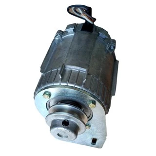 Motor Movimentador De Portão Original Weg 1/4hp 60hz 220v
