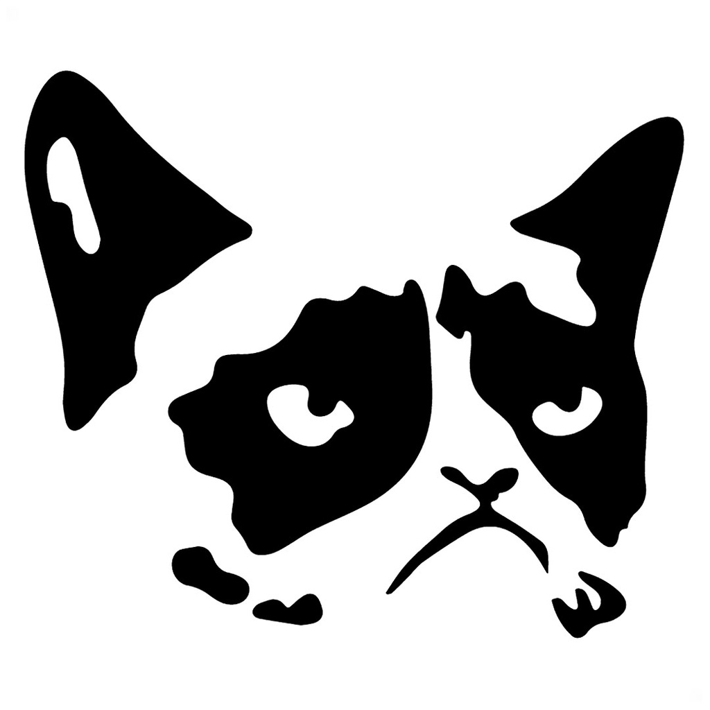 Gato rabugento' é o novo meme da web; conheça