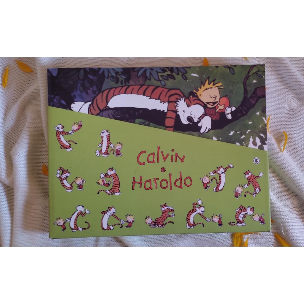 Quadrinho 15x15 Calvin e Haroldo - Carrinho