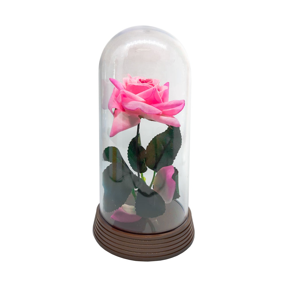 Linda Redoma com Rosa Rosa, inspirada na A Rosa Encantada do filme a A ...