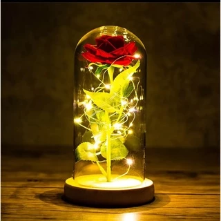 Luminária Redoma 20 Cm Inspirada Na Bela E A Fera Com Micro Leds