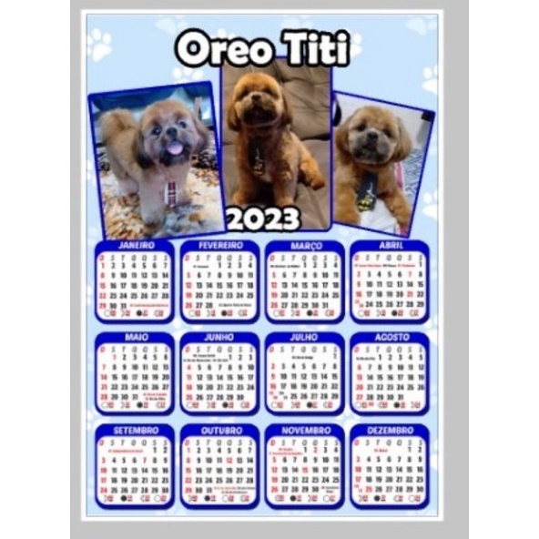 Calendário 2024 Personalizado plastificado Foto Pet/cachorro/gato