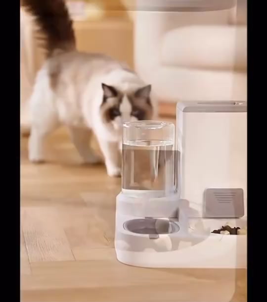 Comedouro Automático para Gatos com Separação de Alimentos Secos e Úmidos - Alimentador Pet - Vista Principal