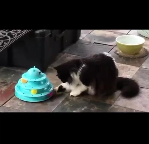 Torre Interativa para Gatos - Diversão e Estímulo | Caprioli - Vista Principal