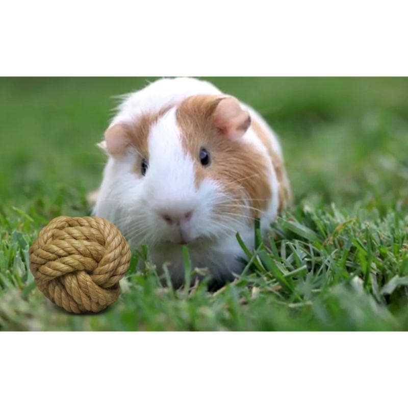 Brinquedo Natural para Coelhos e Roedores - Sisal + Pinus - Desgaste Saudável e Enriquecimento Ambiental | Caprili Shop - Produto 100% Natural e Seguro - Produto Premium Pet Caprili Shop