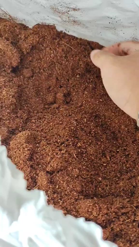 Fibra de Coco em Pó 20 litros Lavado Premium Natural Orgânico Rosa Deserto 1