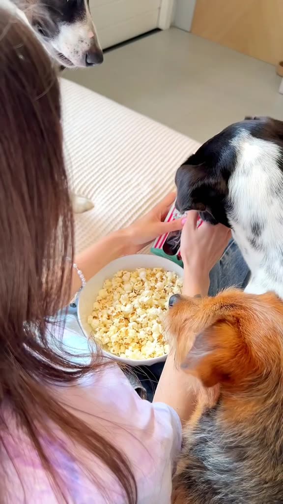 Pop Pet Petisco Natural para Cães e Gatos Pulmão Suíno Desidratado Snack Saudável Mastigável Ninos Pet 25g