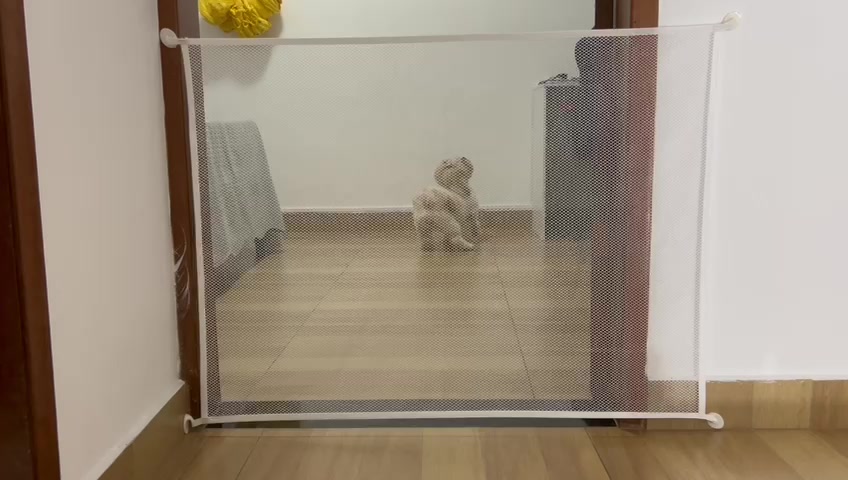 Cerca Divisória para Cachorros Branca - Elegância e Praticidade | Caprioli - Vista Principal