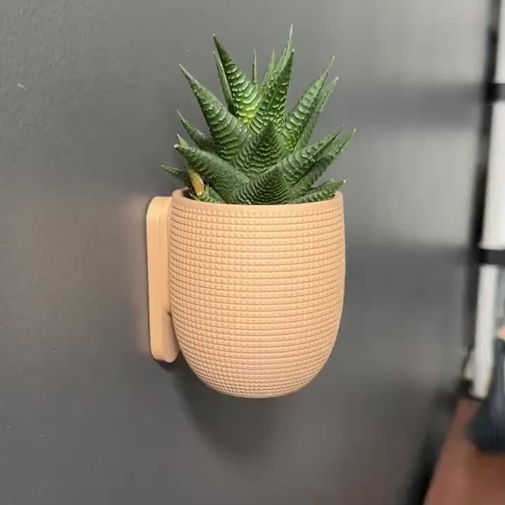 Vaso de Parede 1