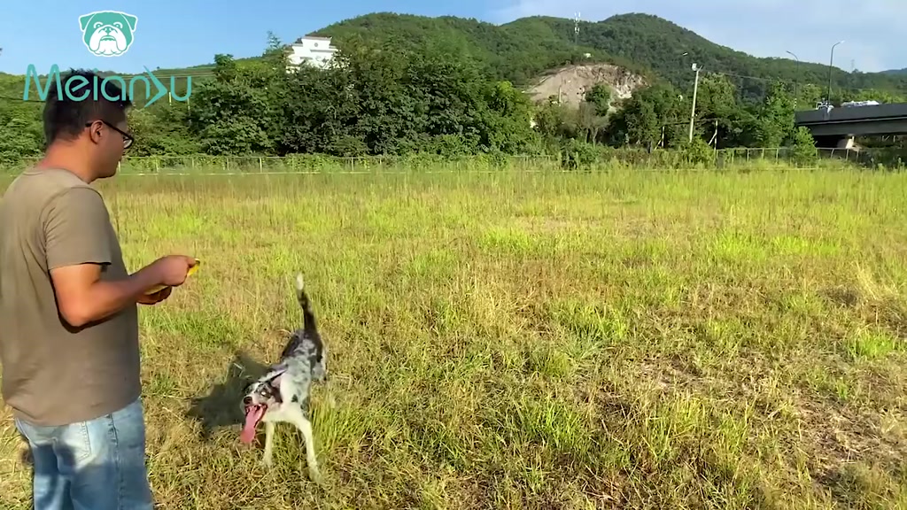 Frisbee para Cães - Diversão ao Ar Livre | Caprioli - Vista Principal