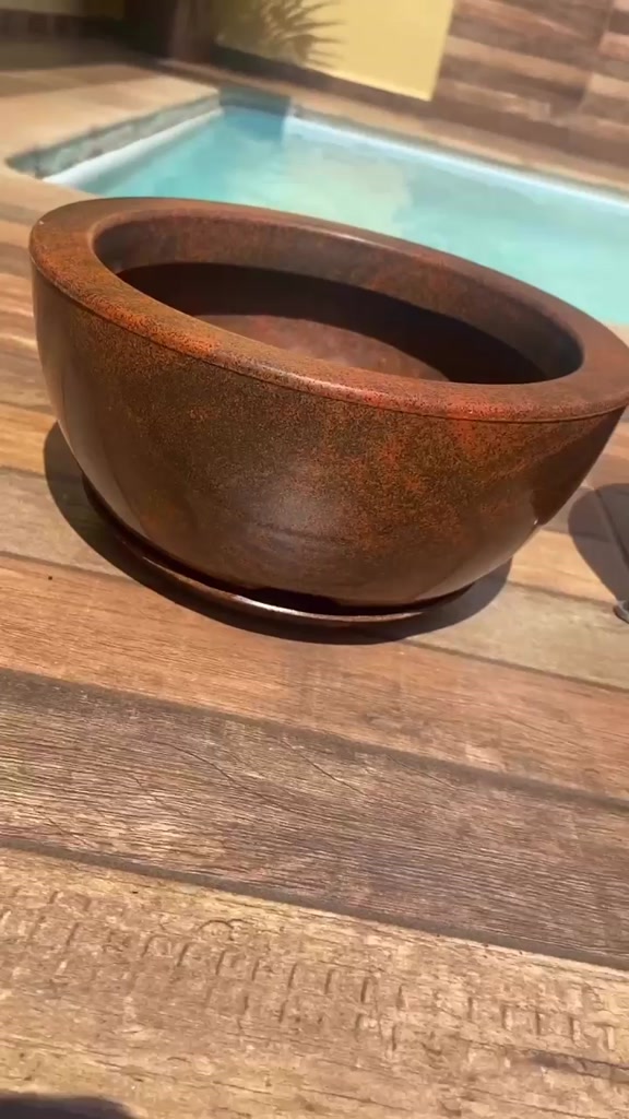Vaso de Planta 1