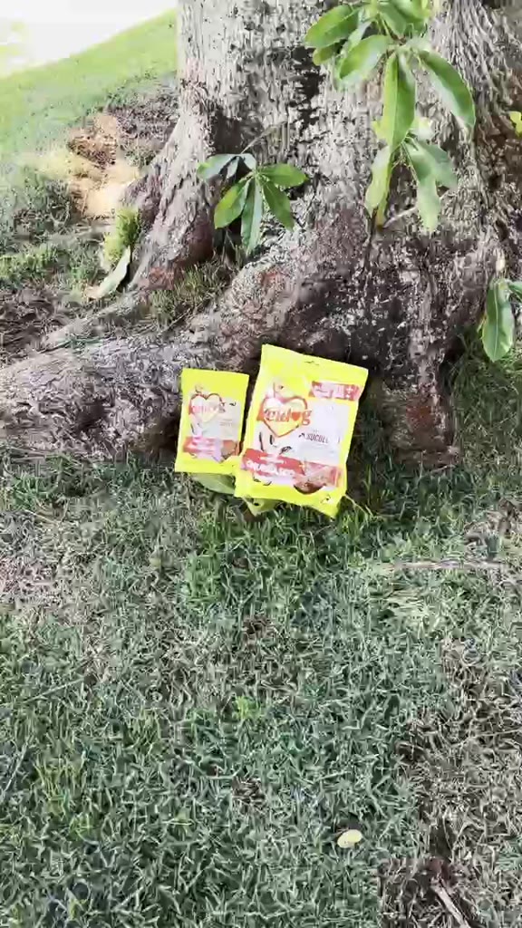 Bifinho de Churrasco Keldog 500g - Sabor Irresistível | Caprioli - Vista Principal