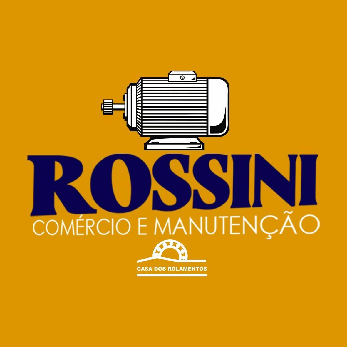 Cabo Flexivel Cardan Roçadeiras Stihl Fs-55 | Shopee Brasil