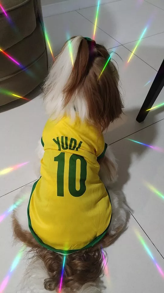 Review 19