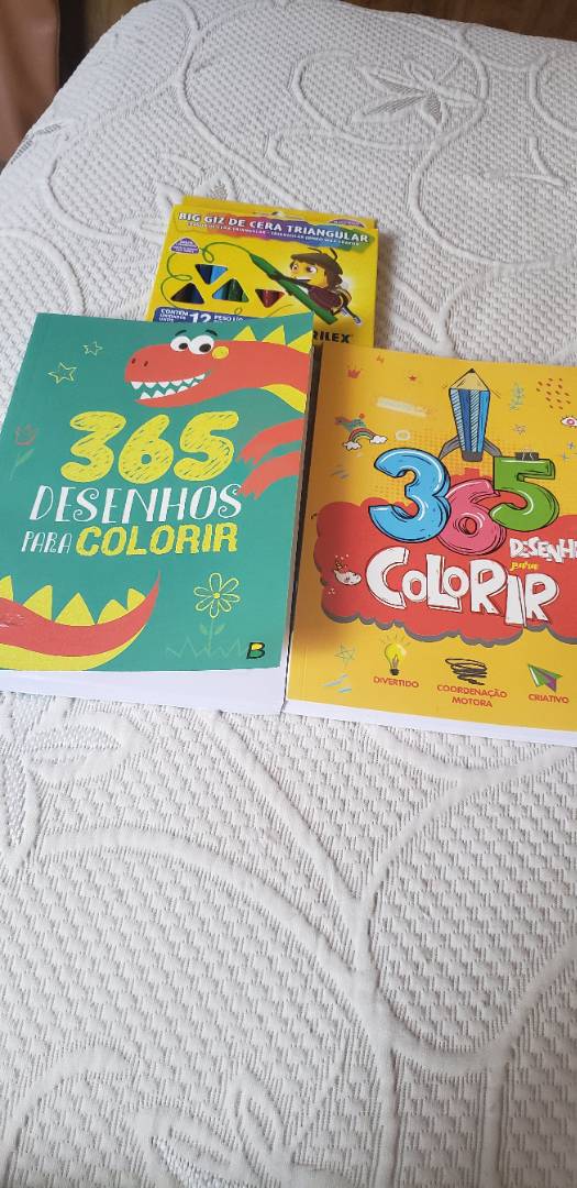 Livro Infantil 365 Desenhos Para Colorir Preto Brasileitura 1144847 -  Papelaria Criativa