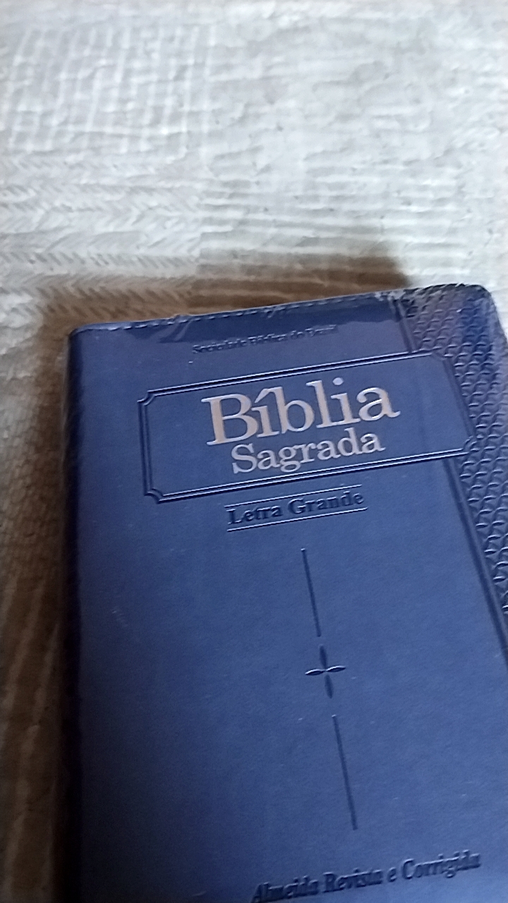  Biblia Letra Grande -Portugues: 7898521808112: _: Books