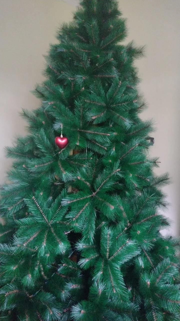 Imagem da avaliação