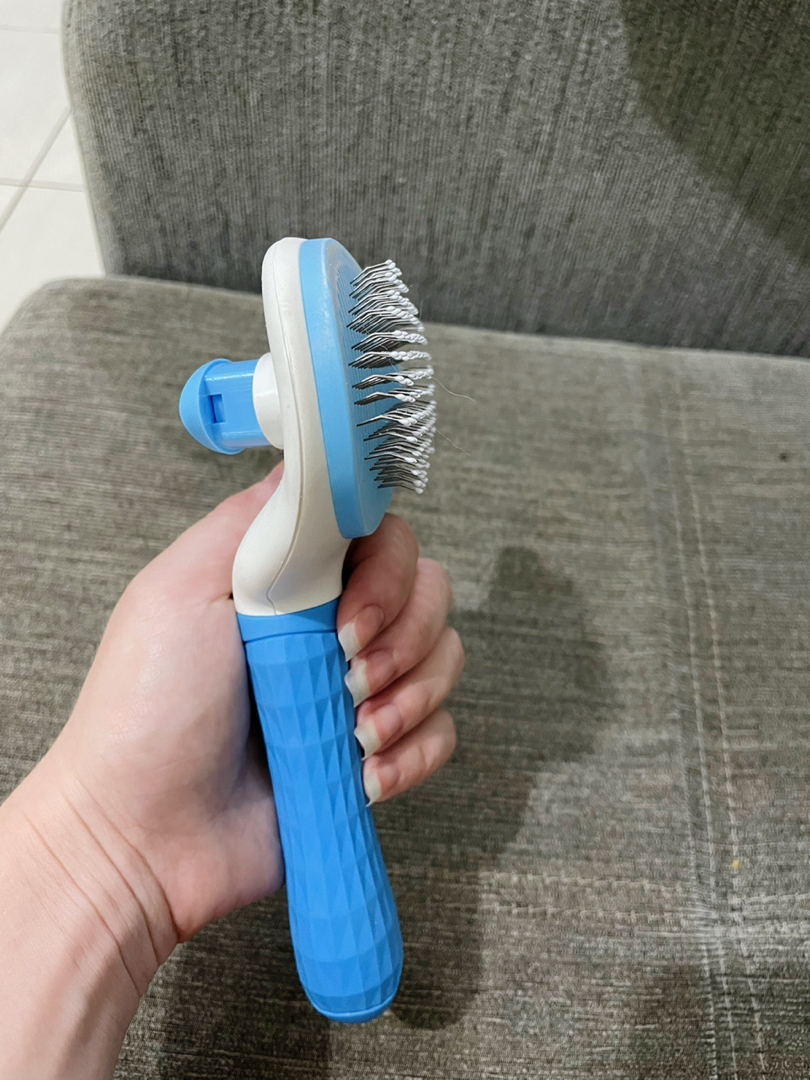 avaliação