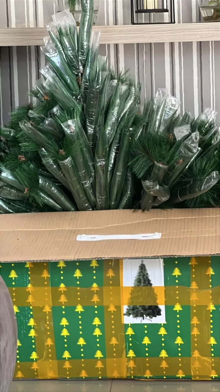 Imagem da avaliação