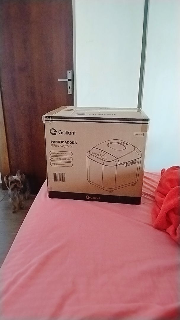 Foto da avaliação