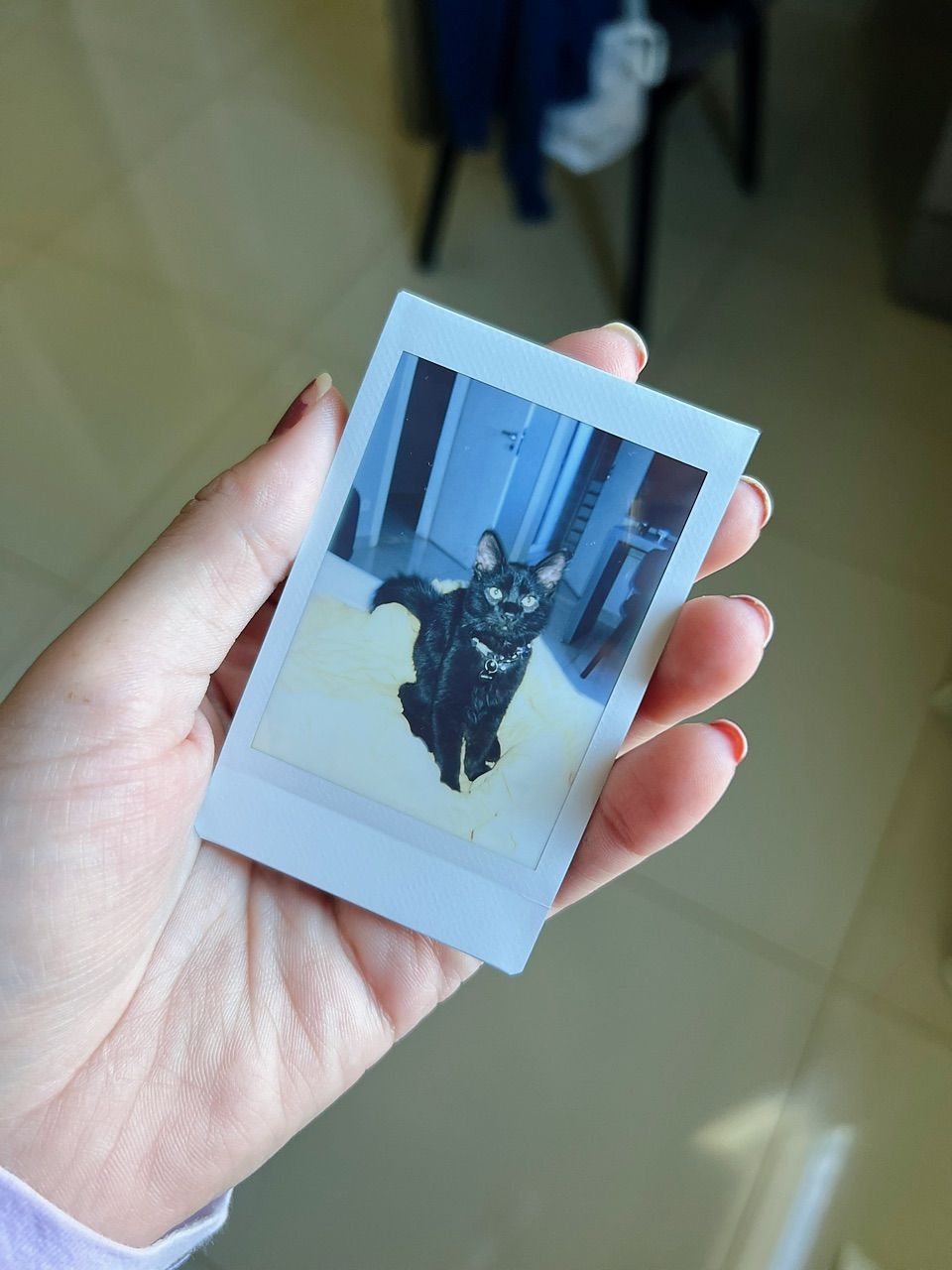 Foto da avaliação