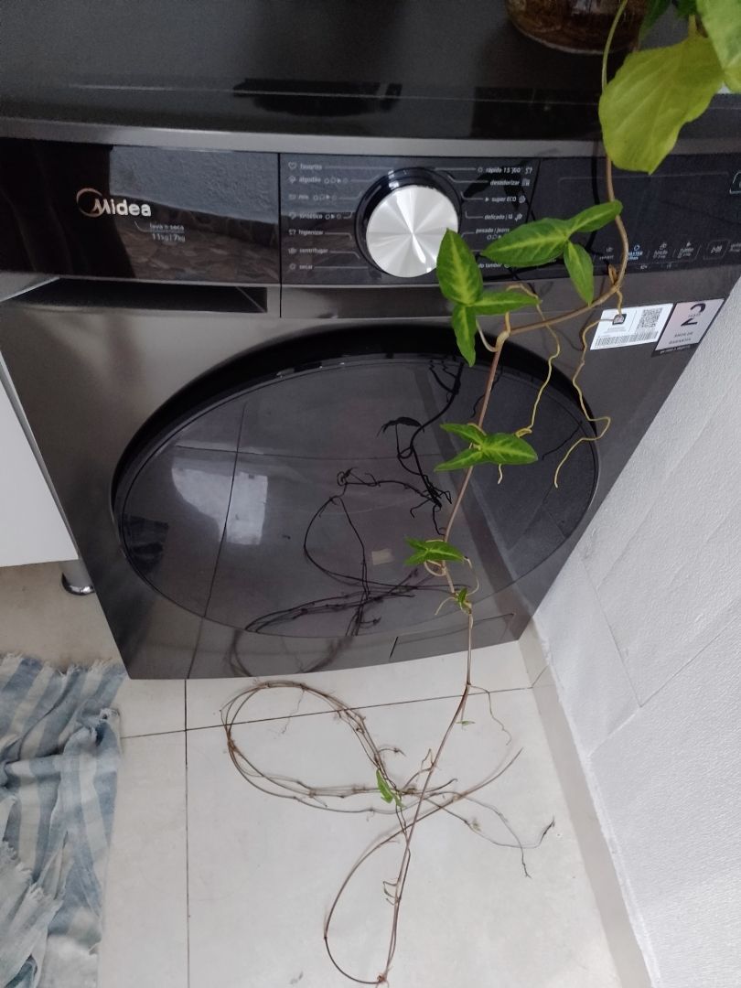 Foto da avaliação