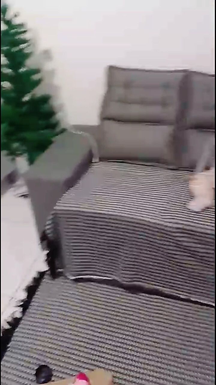 Mídia da avaliação